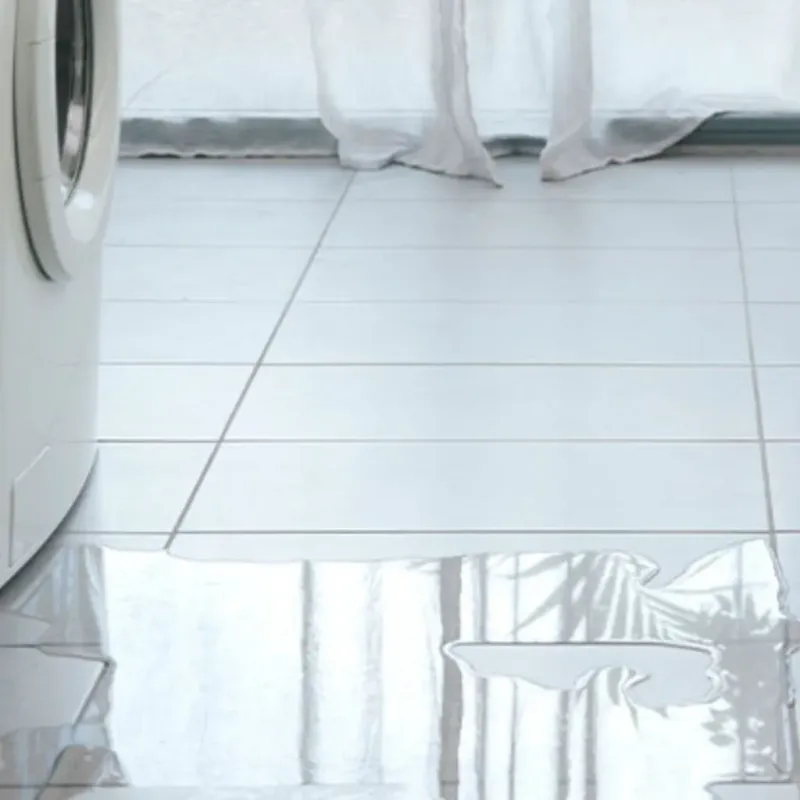 Appliance Leak Cleanup in Richland, GA