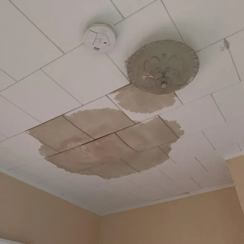 Ceiling Water Damage Repair in Richland, GA