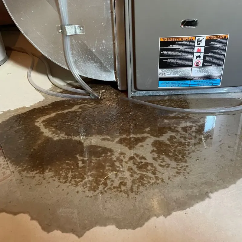 Pipe Burst and Leak Restoration in Richland, GA