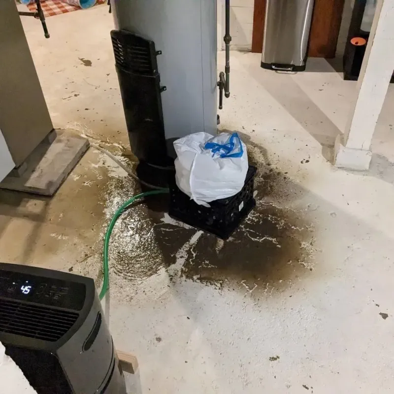 Sewage Backup Cleanup Service in Richland, GA